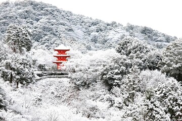 Fototapeta premium 雪の清水寺