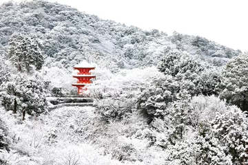 Papier Peint photo Kyoto 雪の清水寺