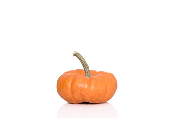 Closeup of a pumpkin isolated on transparent background