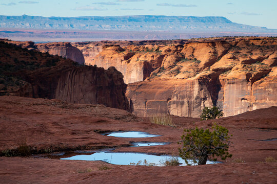 Looking Out to Black Mesa