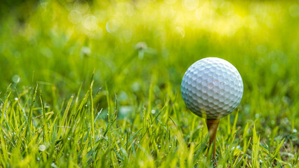 Golf ball is on tee at green lawn in a beautiful golf course with morning sunshine.