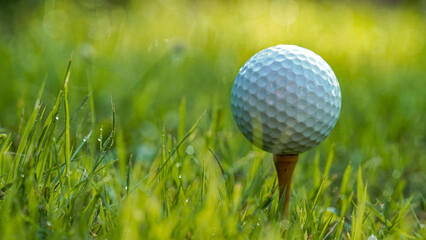 Golf ball is on tee at green lawn in a beautiful golf course with morning sunshine.