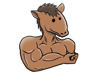 Horse mascular