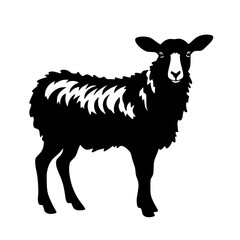 Sheep Vector