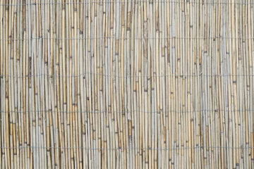 Foto auf Glas reed screen or bamboo garden fence background © Axel Bueckert