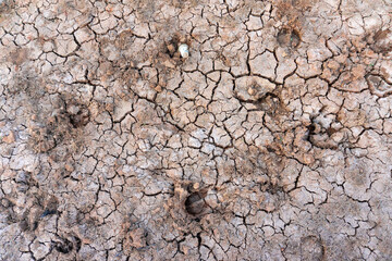 Dry land in the dry season