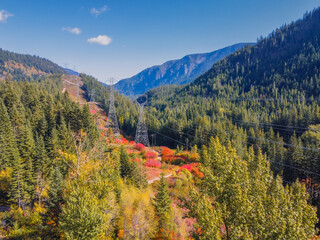 Colorful leaves along transmission lines in Pacific Northwest