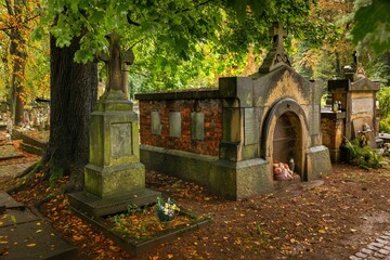 Cmentarz Rakowicki w Krakowie w deszczowy, jesienny dzień - obrazy, fototapety, plakaty