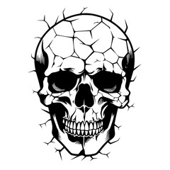 Skull Vector