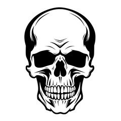 Skull Vector