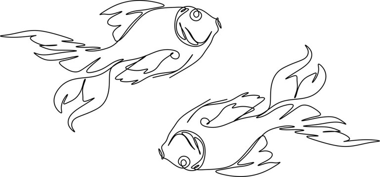 An illustration, one-line art. Continuous one-line drawing of fish