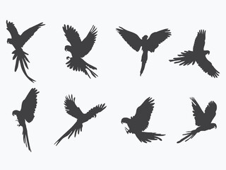 set of flying parrots black silhouette vector illustration with white background © Rifai