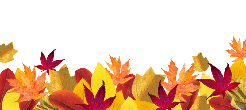Autumn season background with falling autumn leaves