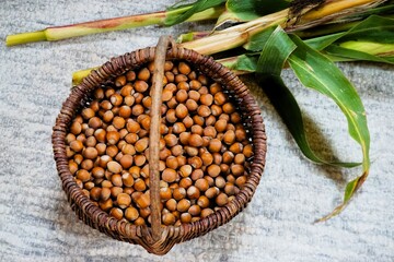 Dekoration mit braunem Korb aus Bast gefüllt mit Nüssen vor langen Maispflanzen auf weißem Tisch...
