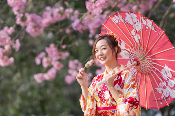 Japanese woman in traditional kimono dress holding umbrella and sweet hanami dango dessert while walking in the park at cherry blossom tree during the spring sakura festival with copy space