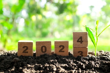 Transition change of year 2023 to 2024 in wooden blocks with growing plant at sunrise. Welcome new...