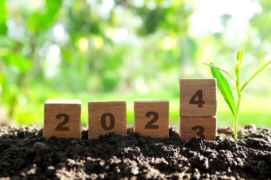 Transition change of year 2023 to 2024 in wooden blocks with growing plant at sunrise. Welcome new year 2024 and goodbye 2023 concept.