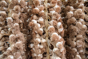 Fresh Garlic at the Market in South Korea