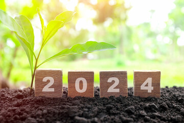 Year 2024 in wooden blocks with growing plant at sunrise. Welcome new year 2024, symbol of hope,...