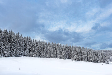 Landschaft im Winter im Thüringer Wald in der Nähe von Schmiedefeld am Rennsteig - obrazy, fototapety, plakaty