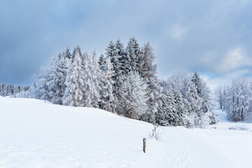 Fototapeta na wymiar Landschaft im Winter im Thüringer Wald in der Nähe von Schmiedefeld am Rennsteig