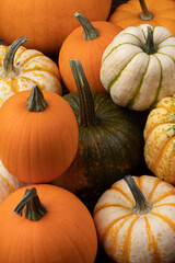 Many various pumpkins background
