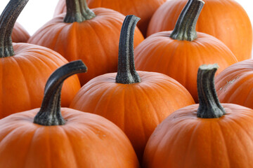 Orange pumpkins collection