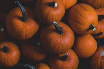 Whole orange pumpkins