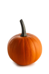 Fresh orange pumpkin on white
