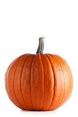 Fresh orange pumpkin on white