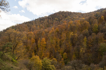 Fototapeta premium Armenian mountains covere with colorfull trees in autumn