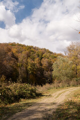 Gravel road in mountain forest during autumn season