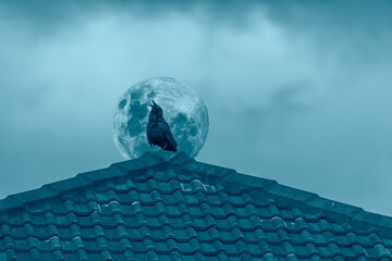 Halloween illustration with bluish tones, a crow calling at the top of the roof across the full...
