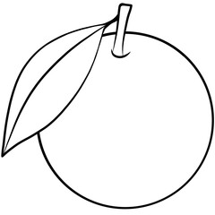 illustration of an orange with leaves outline 