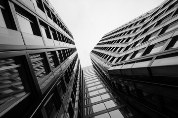 Sleek modern office in timeless monochrome