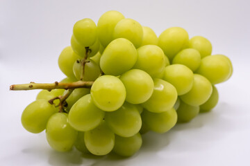 シャインマスカット