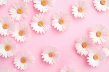 Fototapeta premium Daisy Chamomile Flowers On Pale Pink, Lifestyle Concept, Top View Mockup. Сoncept Floral Arrangements, Self-Care Tips, Photography Inspiration, Home Decor Ideas