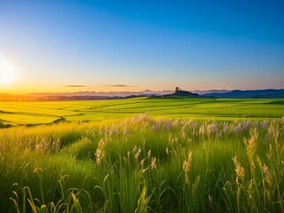 Beautiful summer colorful rustic pastoral landscape panorama. Tall flowering grass on green meadow at sunrise or sunset created using generative artificial intelligence tools.