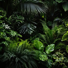 Lush greenery of a tropical rainforest garden with various plants such as ferns, palm trees, and philodendrons. The vibrant leaves create a natural frame against a black background, showcasing