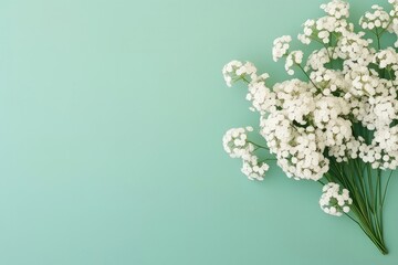 White Gypsophila Flowers On Pastel Green Background For Special Occasions Mockup . Сoncept Floral Arrangements, Special Occasions, Decorative Backgrounds, Mockup Templates