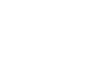 falling snowflake overlay