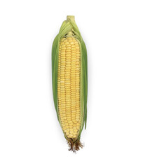 Corn isolated on transparent background (.PNG)