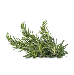 Rosemary isolated on transparent background (.PNG)