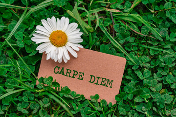 Carpe diem