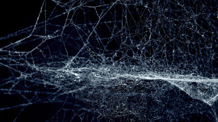 Spider cobweb. An intricate neural network structure emerges from chaotic cobweb patterns on a black background.