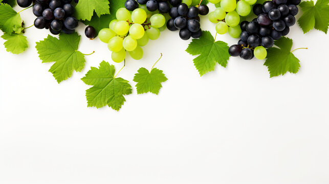 Green and Black juicy grapes on white background. autumn Frame made of grapes. Copy space for text or menu on white wooden background. Fruit berry Frame Border Long web banner