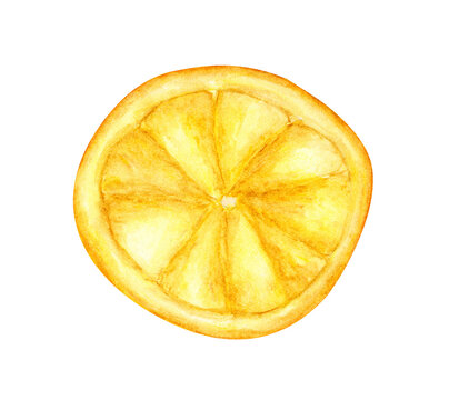 Watercolor painting of Orange fruit.