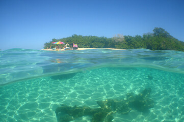 paradisiacal beach in the crystal clear waters of the Caribbean Sea