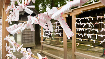 靖国神社の境内に結ばれたおみくじ