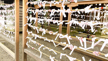 靖国神社の境内に結ばれたおみくじ